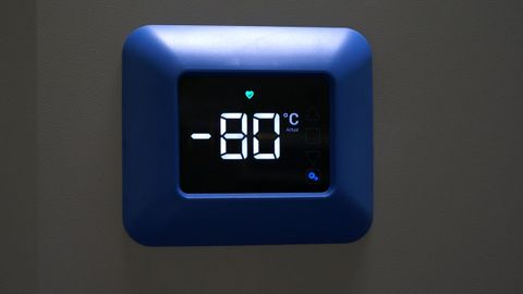 Los ultra congeladores se encuentran a 80 grados bajo cero; el tanque de nitr�geno, a 180 grados bajo cero. 