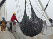 Uno de los barcos que desde la pasada semana est� en Ribeira para descargar at�n. 