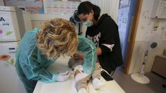 En la imagen, el peque�o Hugo, de trece meses, recibiendo el pinchazo contra la gripe en el Fontenla Maristany