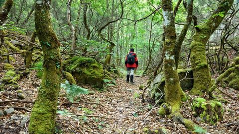 Ruta del Silencio, en Villanueva de Oscos
