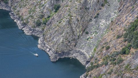 El espectacular viñedo de A Cividade, a la derecha del catamarán, incrustado en el cañón del Sil
