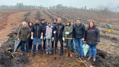 Plantaci�n de �rboles aut�ctonos en Cerdedo-Cotobade, fruto de un proyecto Camino del Reciclaje.
