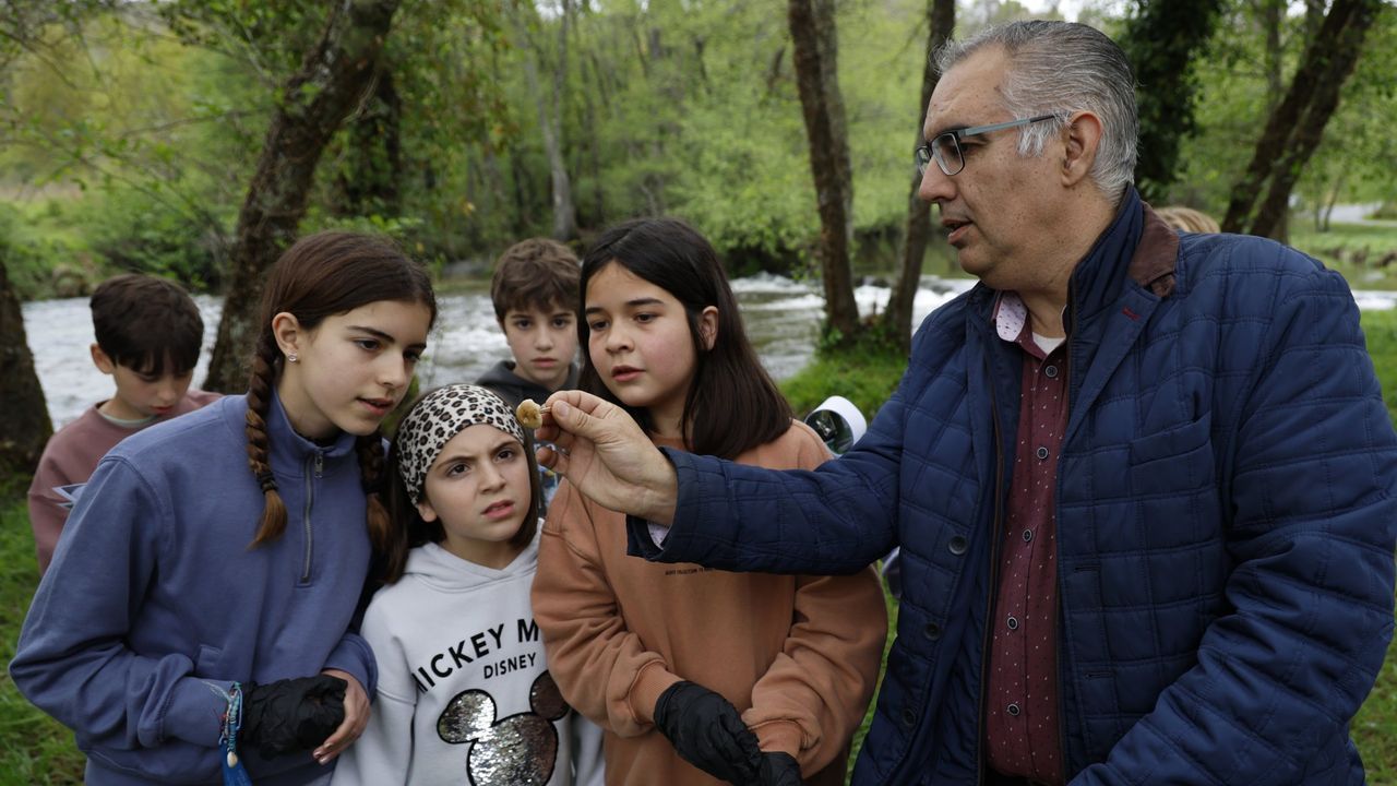 Voz Natura: Treinta años de avances en educación ambiental