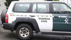 La Guardia Civil ha abierto una investigaci�n para esclarecer las causas del atropello
