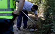 Los laceros recogieron al perro para trasladarlo a la perrera municipal de A Coru�a