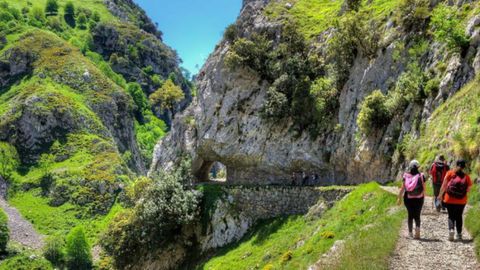 Picos de Europa