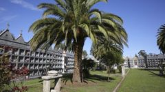 Cementerio de Cerqueda, en Malpica
