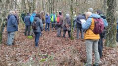 Un grupo de personas acudieron al bosque de Pi�os para ver algunas de las actuaciones realizadas en el marco de la iniciativa NaturSmart