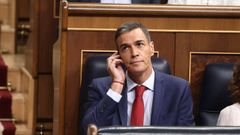 El presidente del Gobierno, Pedro Snchez, durante una sesin de control al Gobierno en el Congreso de los Diputados.