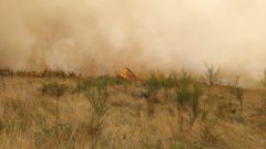 El incendio se reaviv este viernes tras haberse originado y controlado el martes