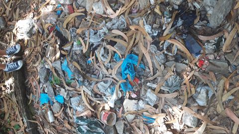 Imagen de este verano en la ruta de los molinos de Meiro, en Bueu