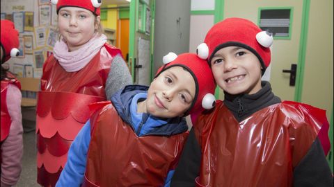 Carnaval del colegio Milladoiro de Malpica
