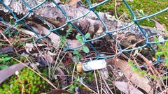 Cartuchos encontrados en los cierres de fincas de Arteixo