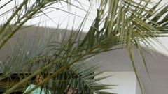 J�venes aislados en un hotel de Mallorca por el megabrote de covid