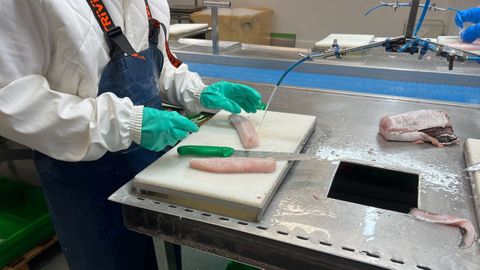 Imagen de la nueva nave de procesado de Celeiro
