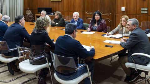 Junta de gobierno de la Diputacin