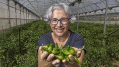 El pimiento de Herb�n es el m�s conocido. Milagros Gonz�lez es la presidenta de la denominaci�n de origen Herb�n, el de mayor producci�n <br />de Galicia