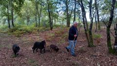 Un vecino de Castro de Carballedo particip� con sus perros en las tareas de b�squeda