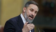 Santiago Abascal durante su intervencin en el Congreso.