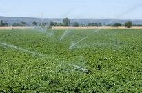 El sector considera los regad�os, como este en A Limia, fundamentales para su actividad. 