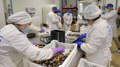 La conselleira Marta Villaverde, al fondo, acudi a la planta de Alumar, en Barro.