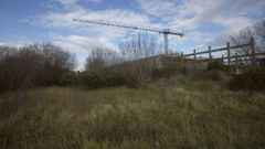 Parte de los terrenos en los que estaba previsto construir el hospital privado