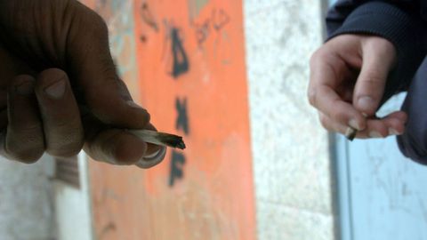 El cannabis es una de las drogas ms comunes