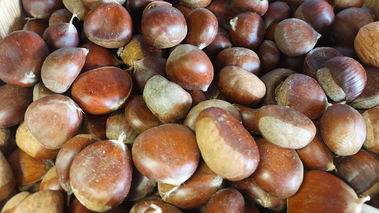 Lecciones para los productores de castaña