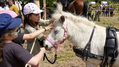 Imagen de archivo de una cita con caballos en el �rea de Vigo