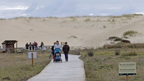 Pasarela de la duna de Corrubedo