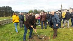 Ni una semana duraron los frutales plantados en el D�a del �rbol en Lugo