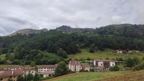 Cangas de Ons