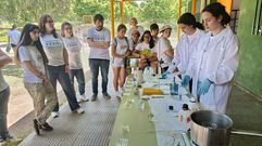Feria de Ciencias en el IES Carlos Casares.Uno de los alrededor de los 70 experimentos que los alumnos presentaron a la feria.
