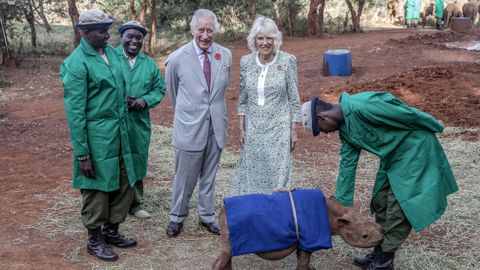 El rey Carlos III y la reina Camila visitaron este mi�rcoles las instalaciones del orfanato de elefantes Sheldrick Wildlife Trust, situado en las afueras de la ciudad de Nairobi, la capital de Kenia.