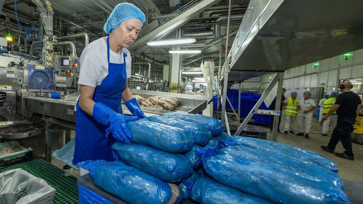 Conservas Calvo, grupo Nauterra