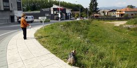 Los terrenos afectados est�n en la confluencia entre Doctor Tour�n y Pablo Picasso. 