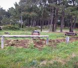 El jabal� tambi�n ocasion� destrozos en la zona de Couso. 