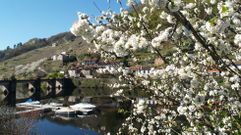 Nueve rincones de referencia en Semana Santa en la Ribeira Sacra