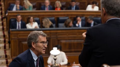 El presidente del PP, Alberto Nez Feijoo, durante la sesin plenaria en el Congreso del pasado mircoles.