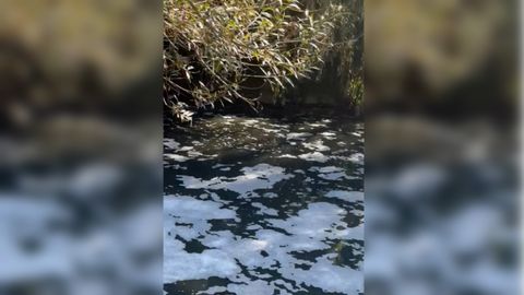 La espuma toma el cauce del ro Sar a su paso por Bertamirns