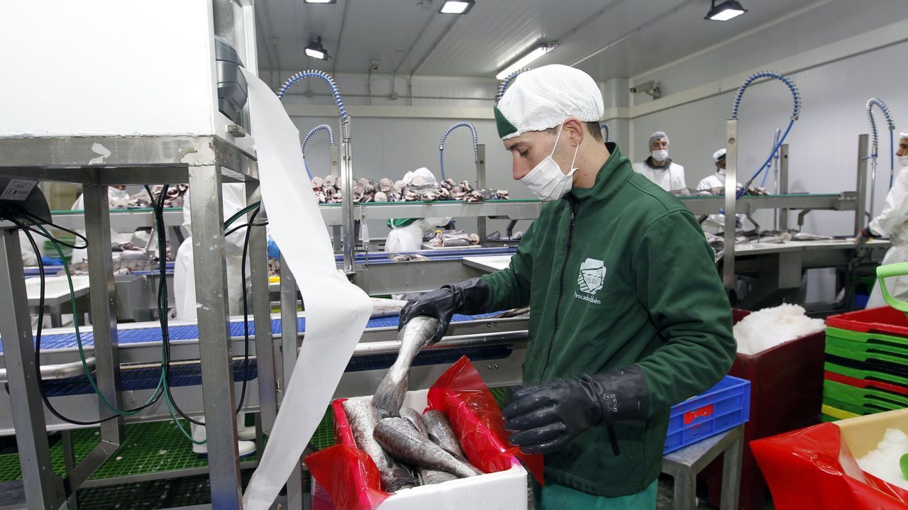 Administrador y Sart Galicia prevén cerrar el lunes la venta de Pescados Rubén