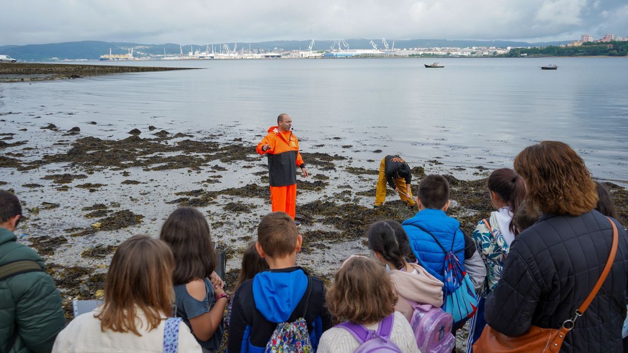 Escolares de Miño se convierten en chefs y pescadores en Barallobre