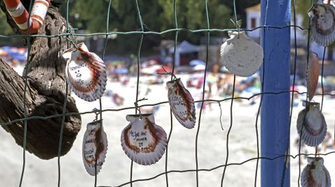 Playa de Aguete. Conchas de zamburias con inscripciones de loe turistas en O Rincn de Poty