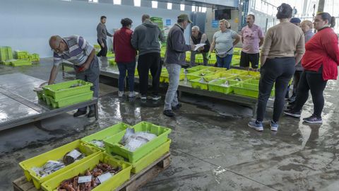 Puja de pescado este viernes a la tarde en la rula de Fisterra, una de las m�s pujantes de la zona.
